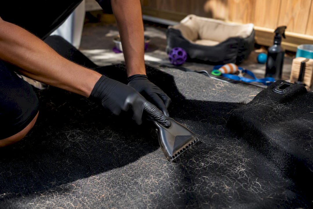 Hands removing pet hair from car carpet