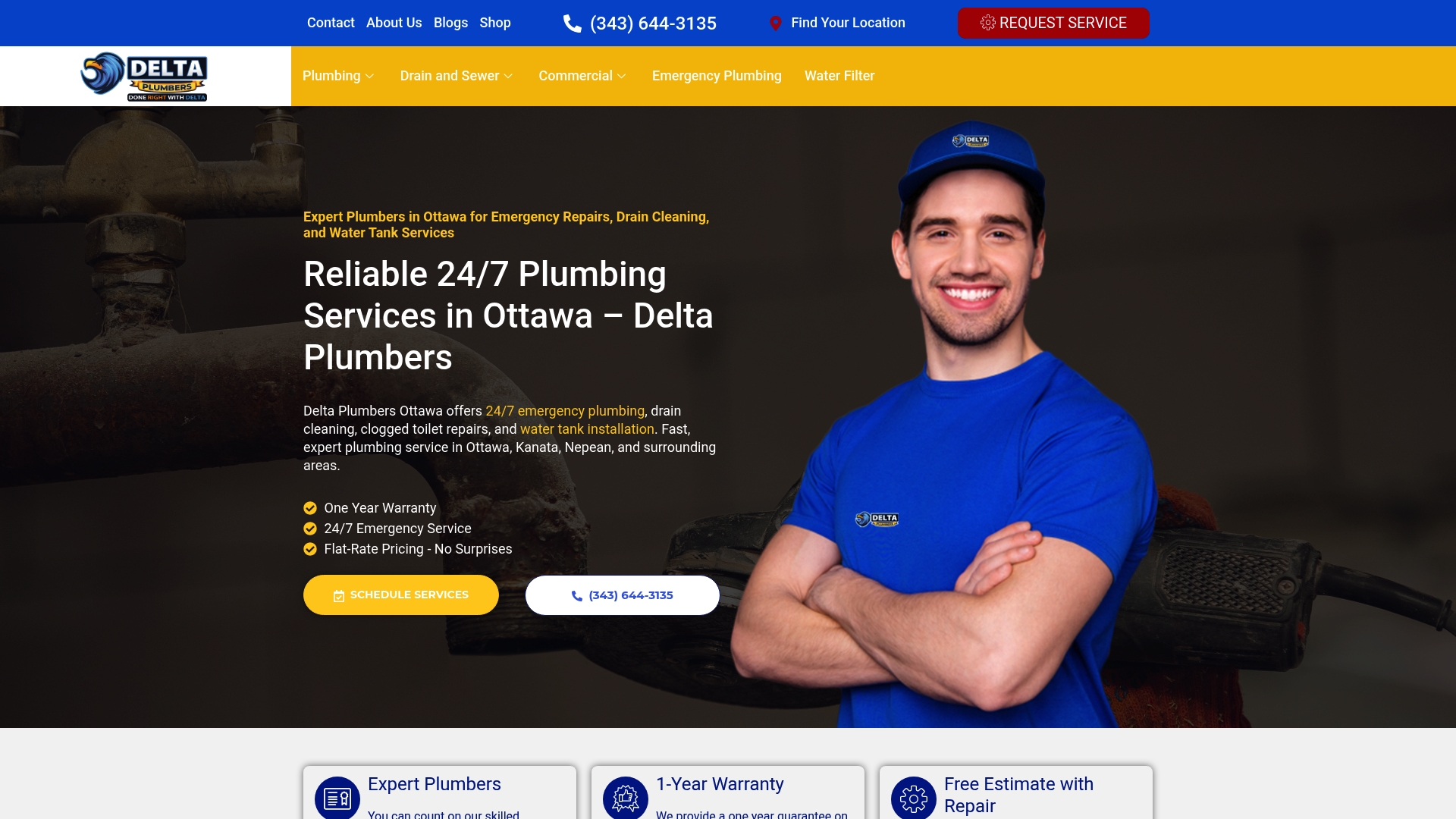 https://deltaplumbersottawa.com
