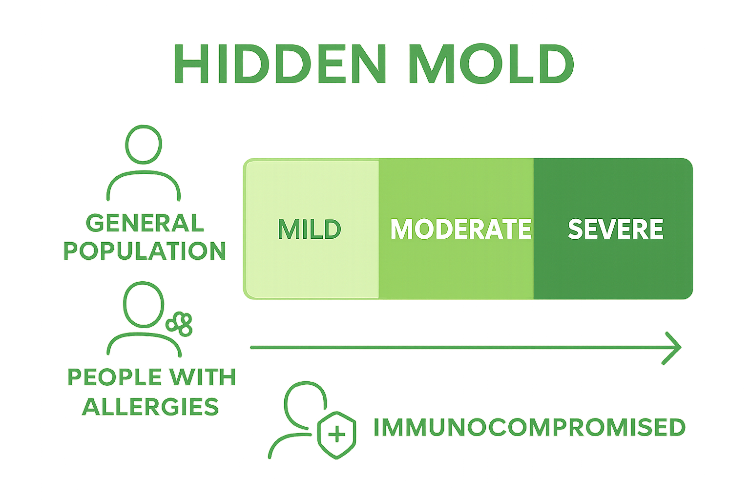 Infographic showing health risk levels from hidden mold in air ducts