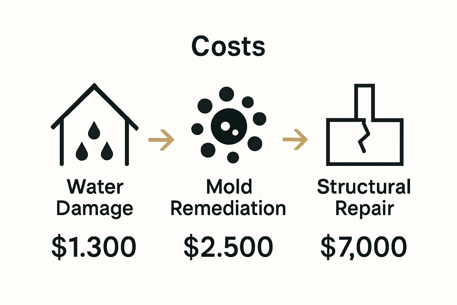 Infographic comparing top three drainage-related repair costs