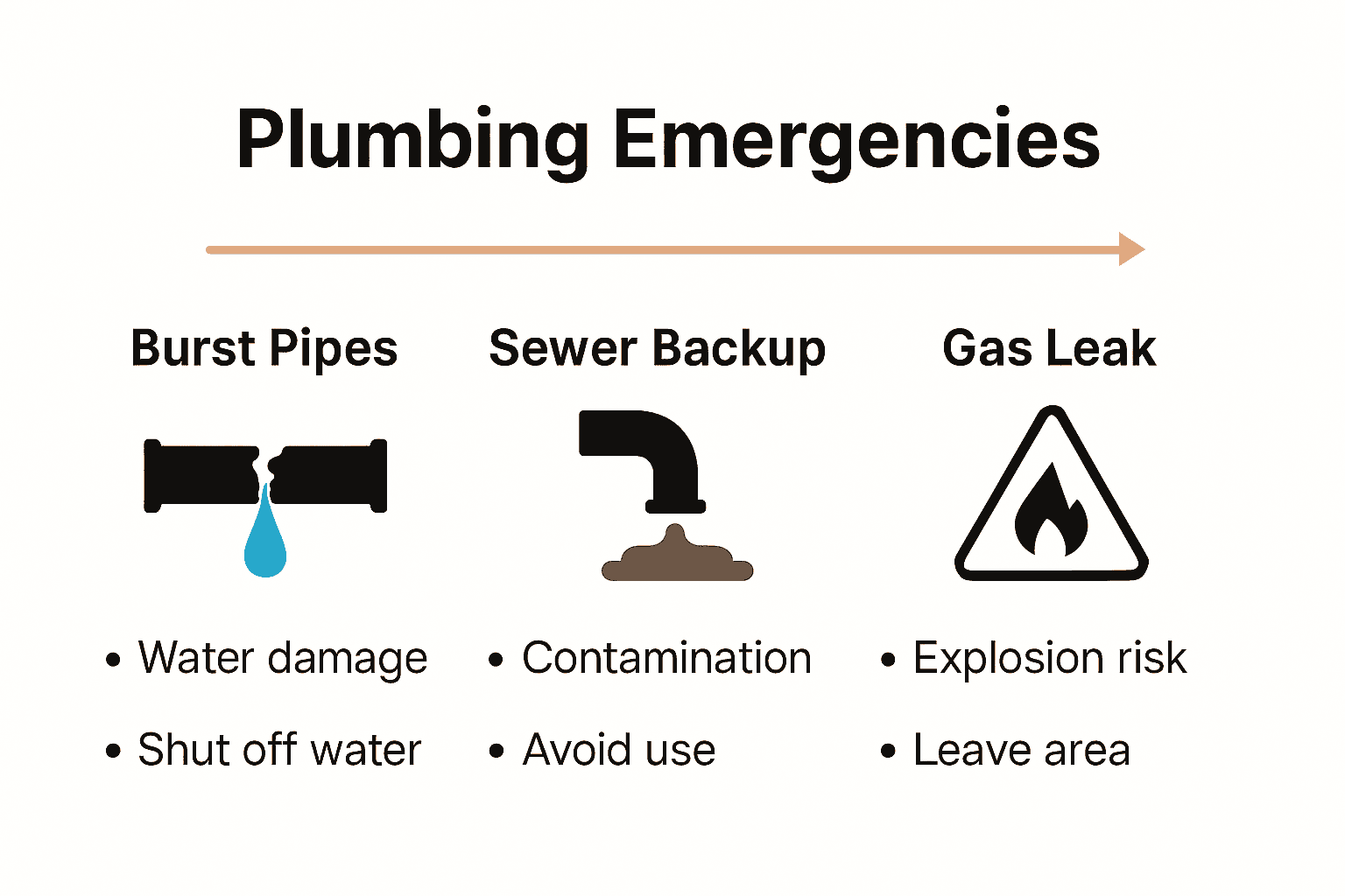 Comparison infographic showing main plumbing emergencies, risks, and immediate steps