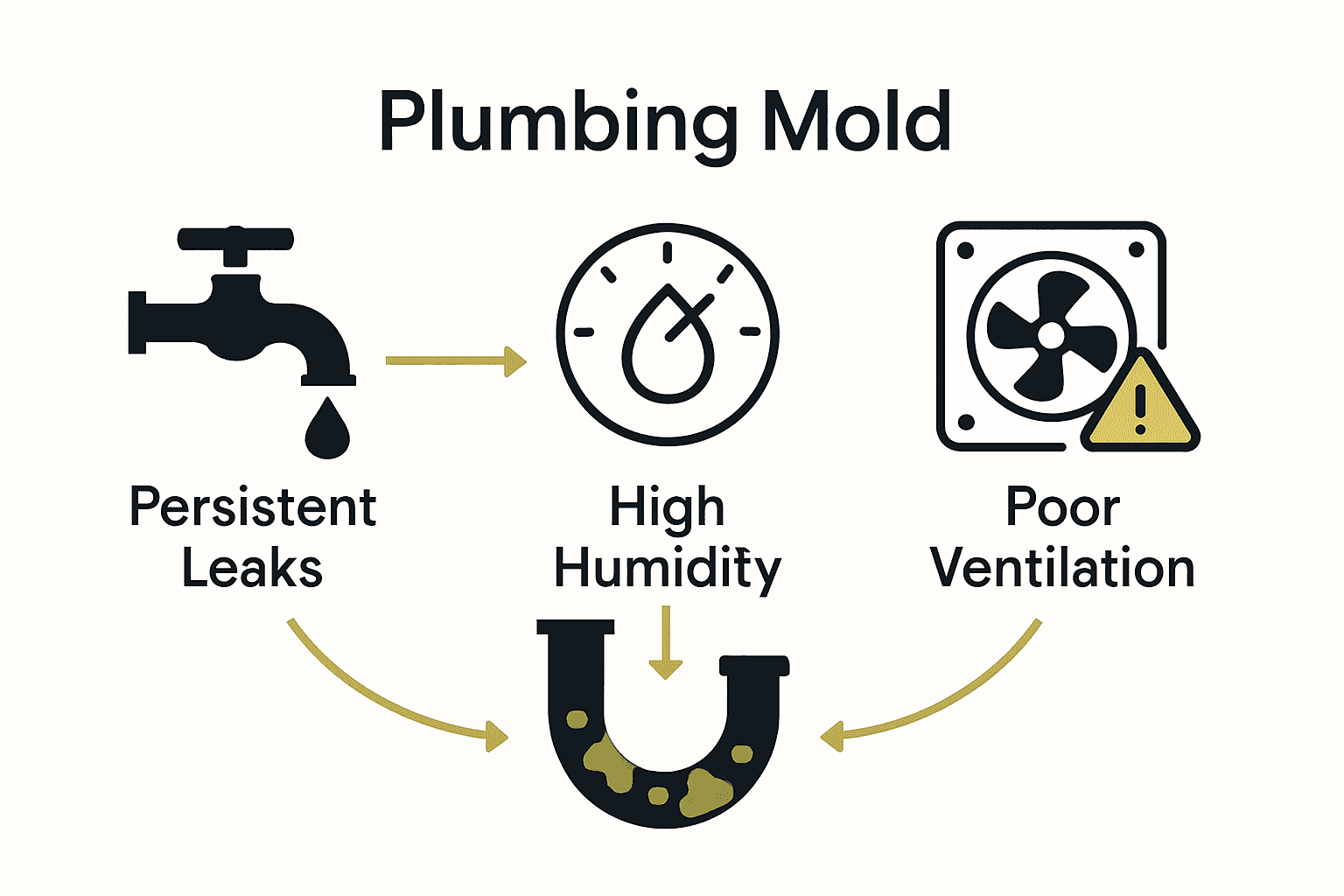 Infographic showing causes of plumbing mold: leaks, humidity, ventilation.