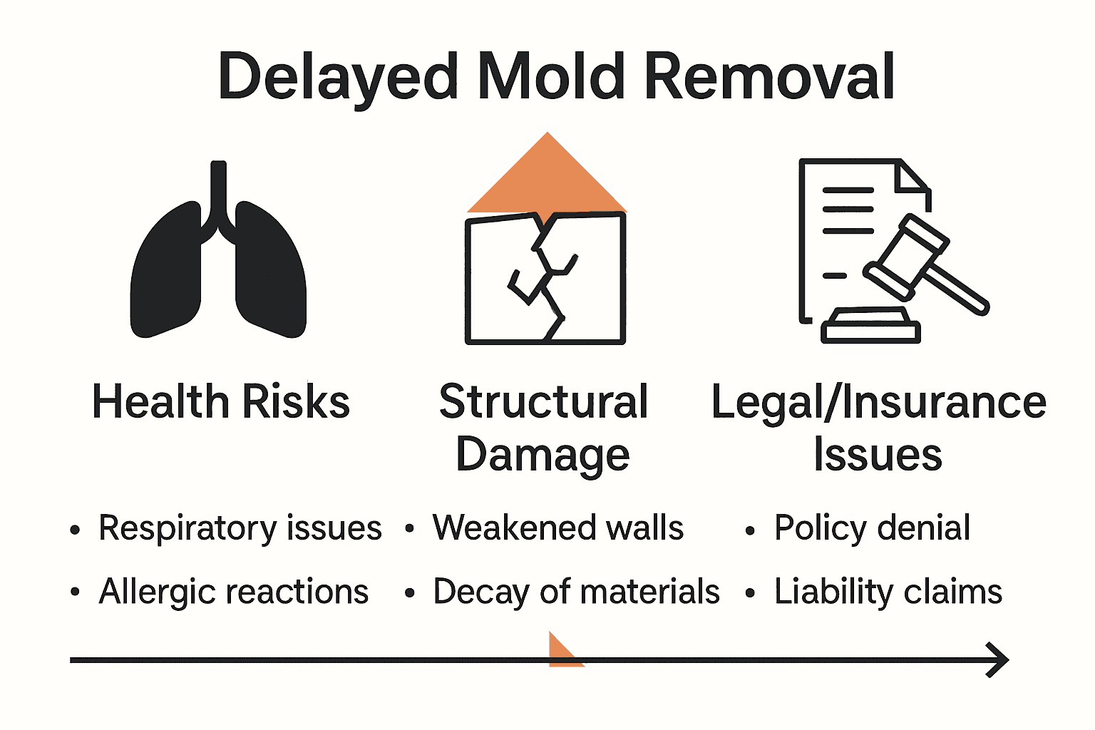 Infographic showing health, structural, and legal risks of delayed mold removal, each with distinct icons and examples.