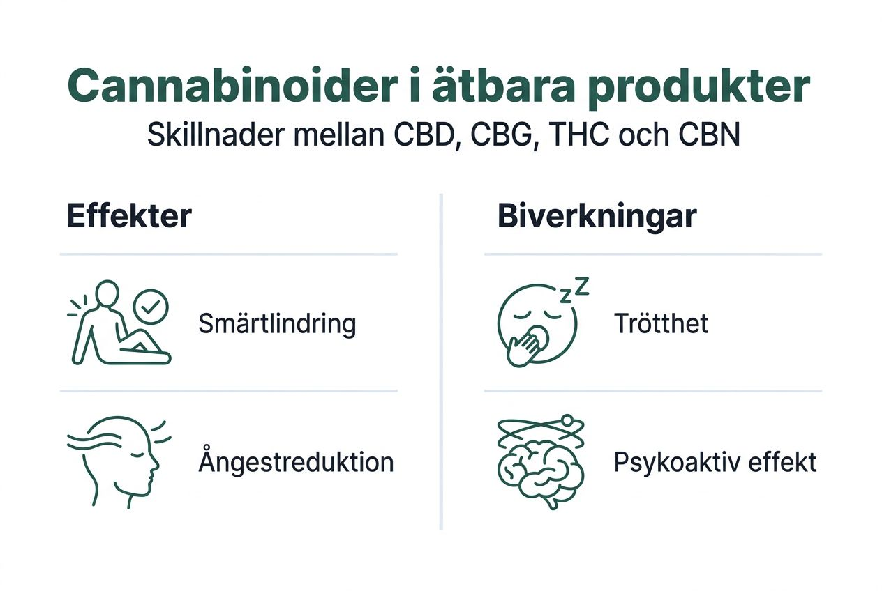 Grafik: Så påverkar cannabinoider kroppen – effekter och möjliga biverkningar
