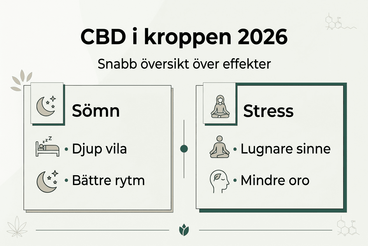 Översiktlig infographic: Så kan CBD påverka din sömn och stressnivå