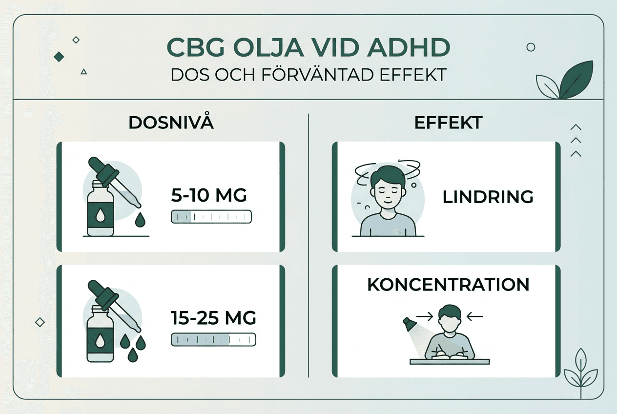Så påverkar olika doser av CBG-olja kroppen – en översikt i grafik