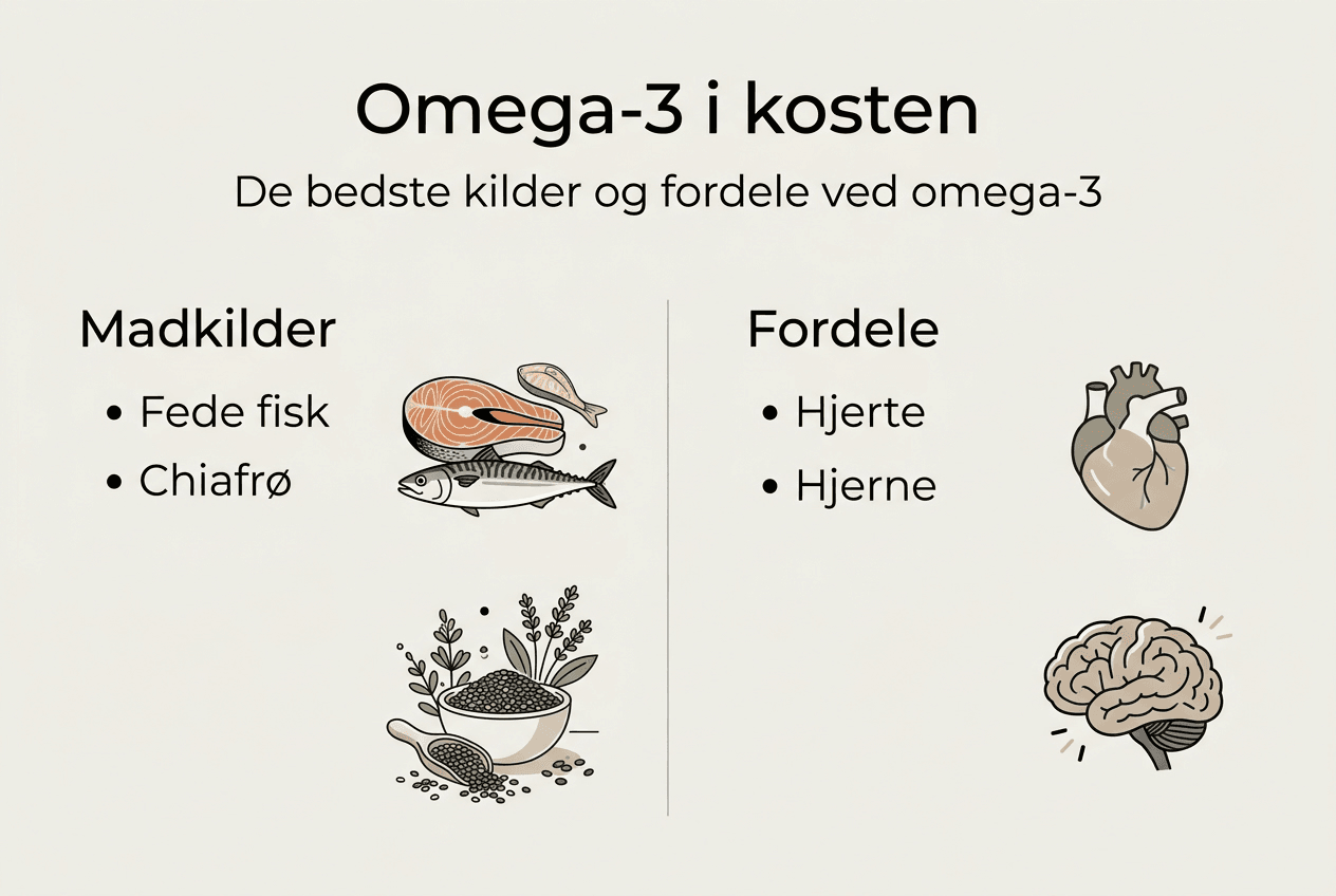 Oversigt: Gode kilder til omega-3 og hvorfor de er vigtige for din sundhed