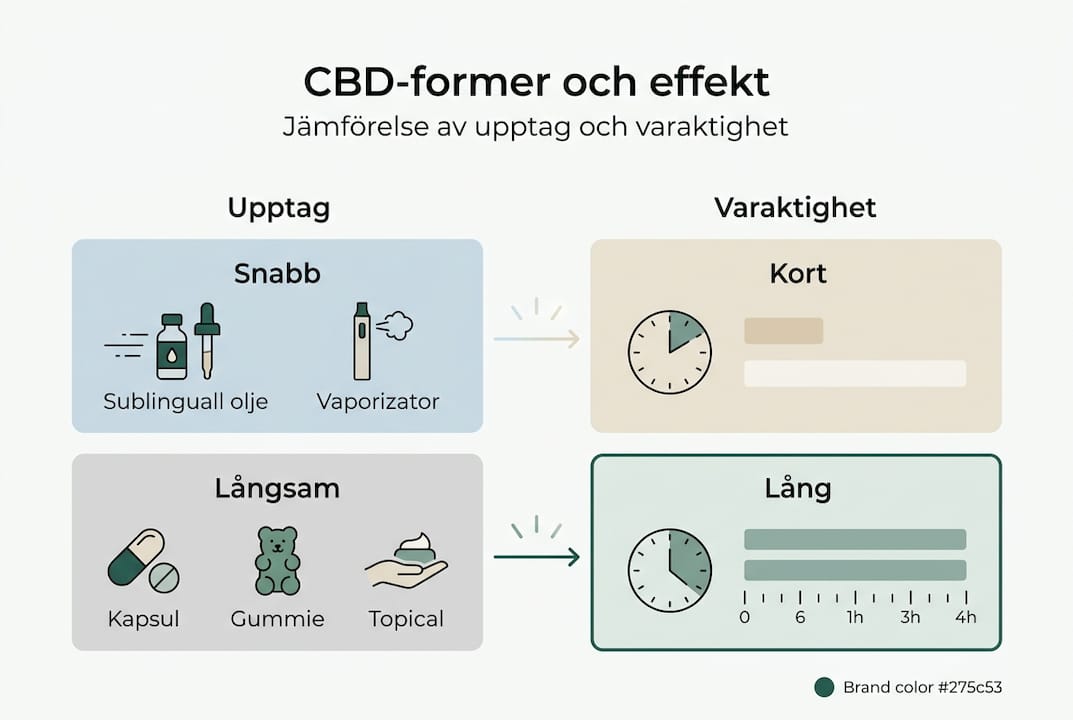 Översikt: Så skiljer sig olika former av CBD och deras effekter