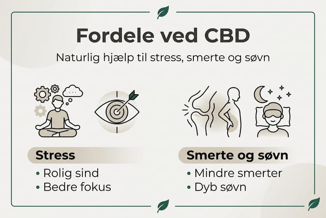 Oversigt: CBD – sådan kan det hjælpe mod stress, smerter og søvnproblemer