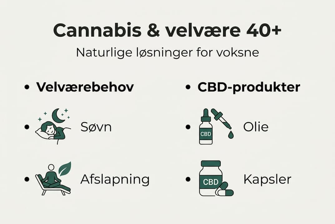 Infografik: Cannabis og livskvalitet for dig over 40