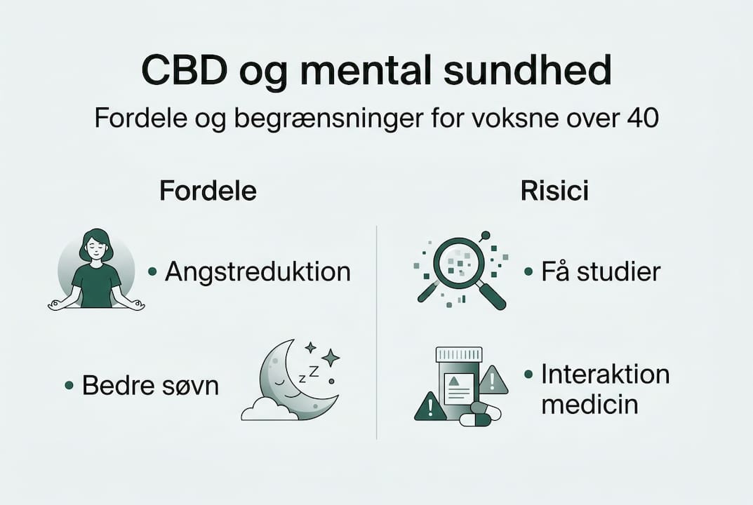Grafisk oversigt: Hvad voksne bør vide om muligheder og risici ved CBD