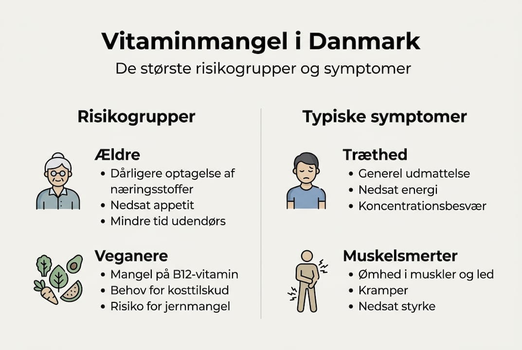 Infografik: Hvem er i risiko for vitaminmangel – og hvilke tegn skal du holde øje med?
