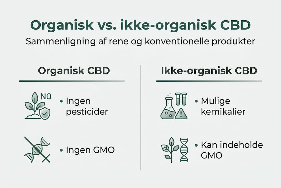 Infografik: Sammenligning af økologisk og konventionel CBD
