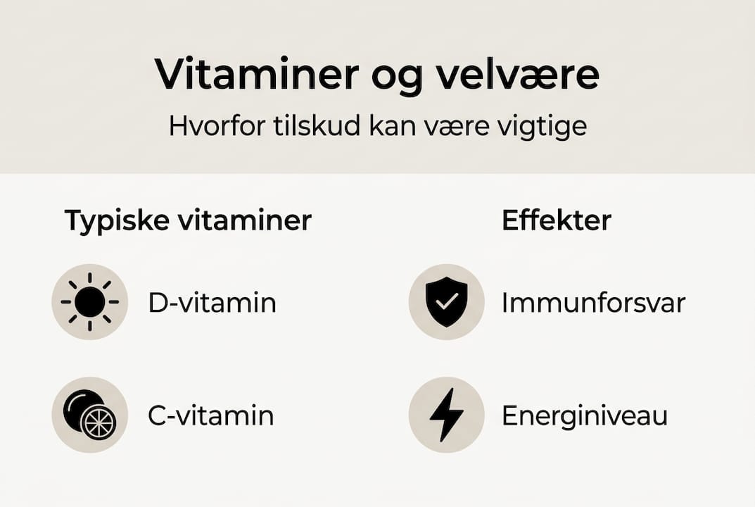 Oversigt over vitaminer og deres betydning for kroppen