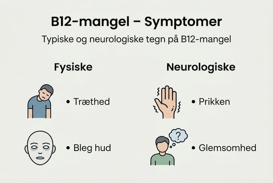 Grafisk oversigt over typiske fysiske og neurologiske symptomer på B12-mangel