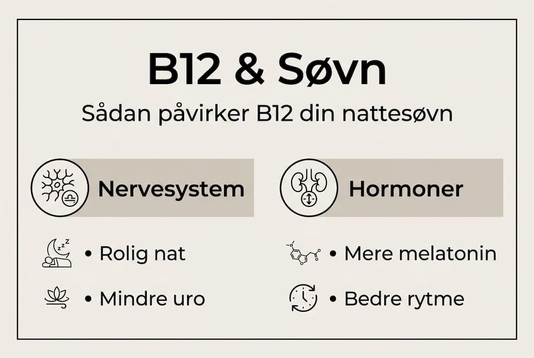 Se, hvordan B12-vitamin påvirker din søvn og hormonbalance – illustreret i en informativ grafik.