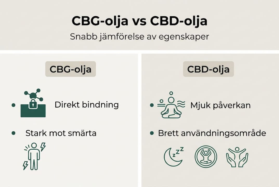 Infografik: Så skiljer sig CBG-olja och CBD-olja – jämför deras egenskaper