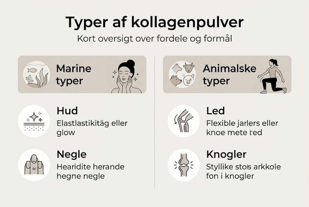 Oversigt: Typer af kollagenpulver og deres anvendelse