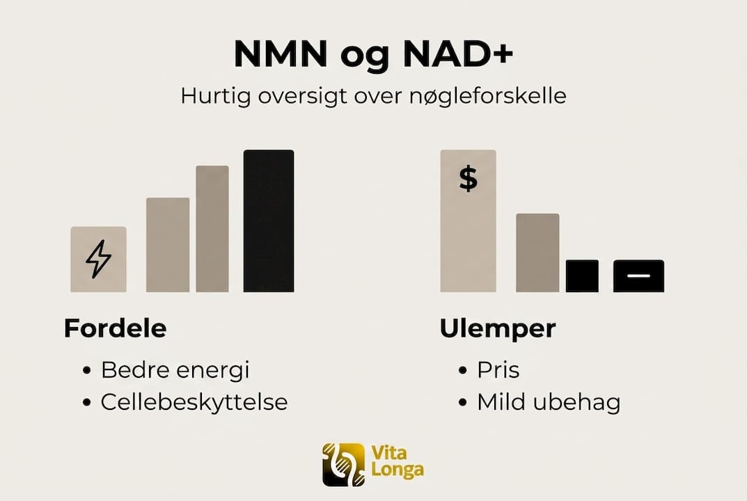 Grafisk oversigt: Fordele og ulemper ved både NMN og NAD+