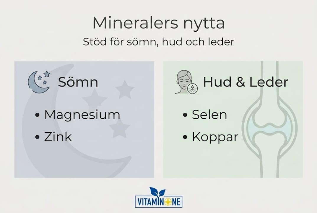 Så påverkar mineraler kroppen – en överskådlig infografik