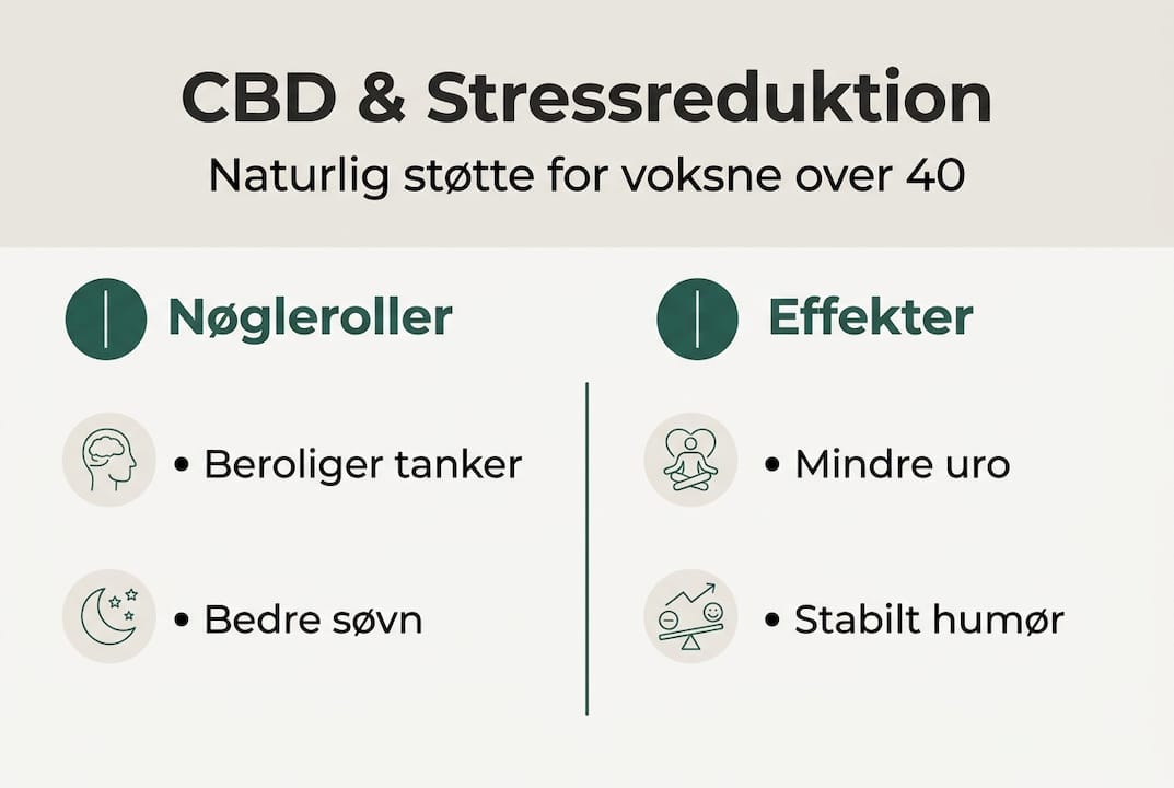 Fakta-grafik: Sådan påvirker CBD stressniveauet hos voksne