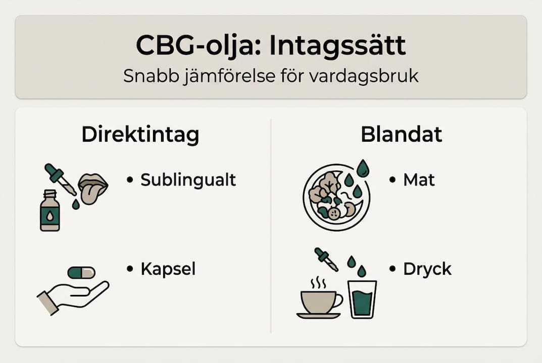 Infografik: Så kan du använda CBG-olja på olika sätt