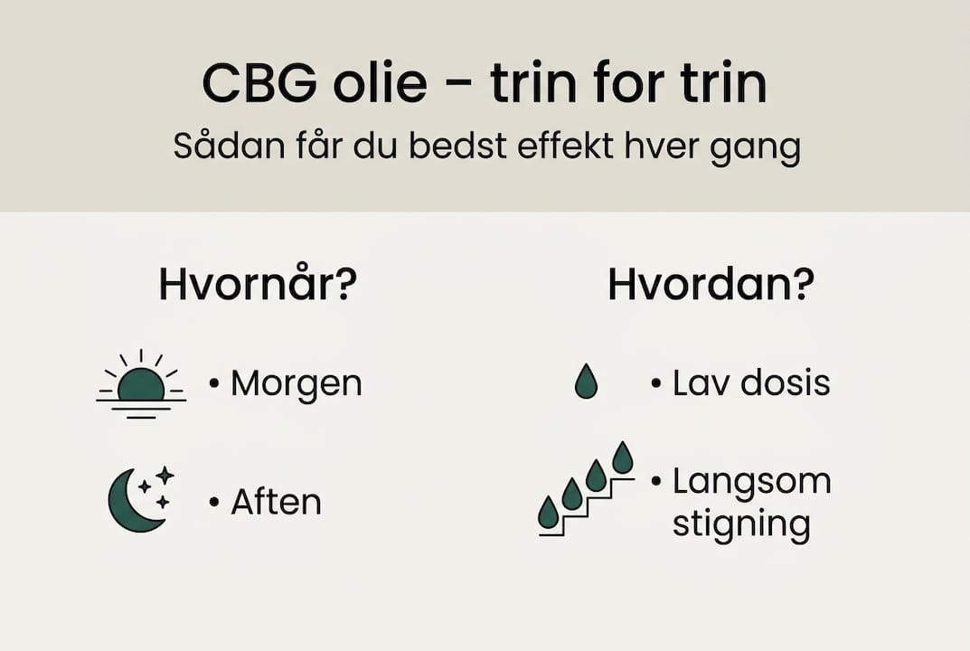Sådan bruger du CBG-olie – en trin-for-trin guide i infografik