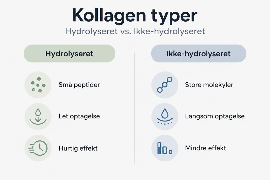Se vores infografik, hvor du får et hurtigt overblik over de forskellige typer kollagen og deres egenskaber.