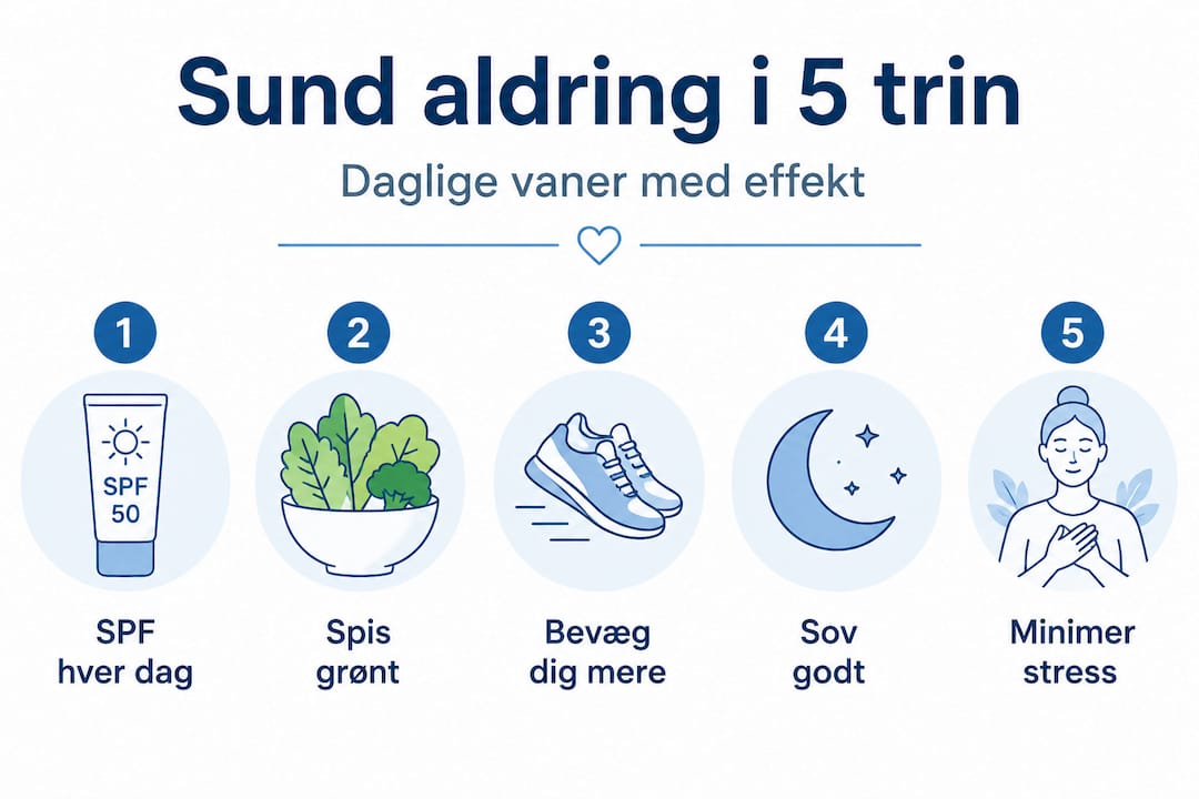 Fem gode råd til et sundt og aktivt seniorliv – præsenteret som en overskuelig infografik