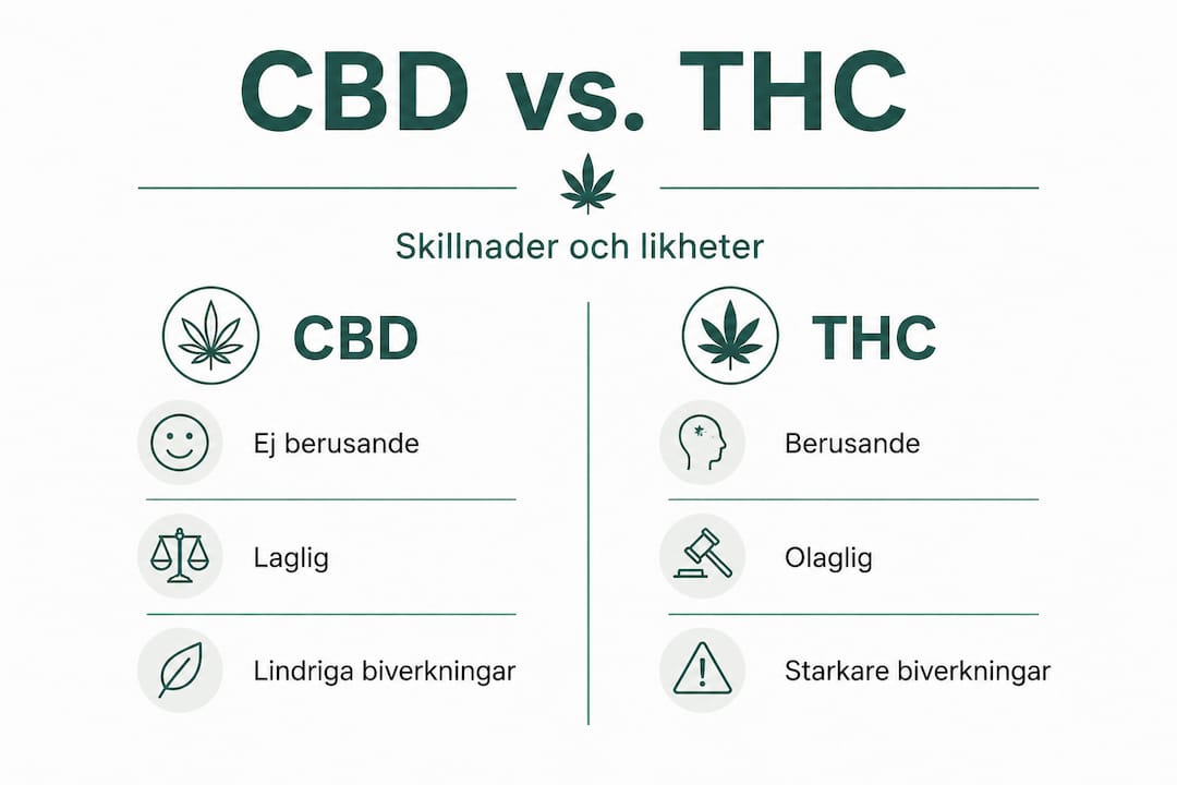Så skiljer sig CBD och THC – en överskådlig infografik