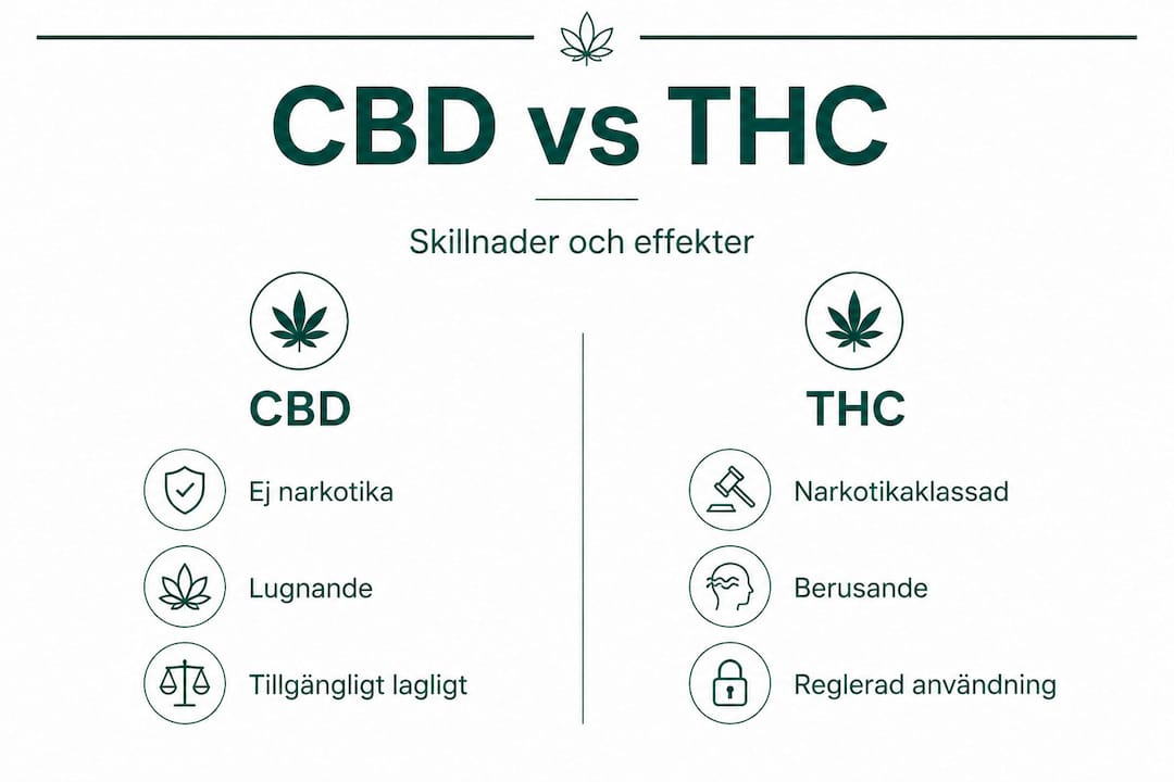 Grafisk översikt som belyser skillnader och likheter mellan CBD och THC