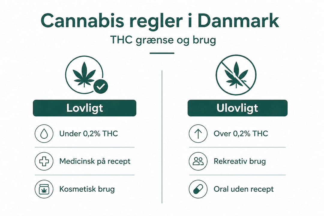 Infografik: Cannabis – hvad siger loven, og hvor går grænsen?
