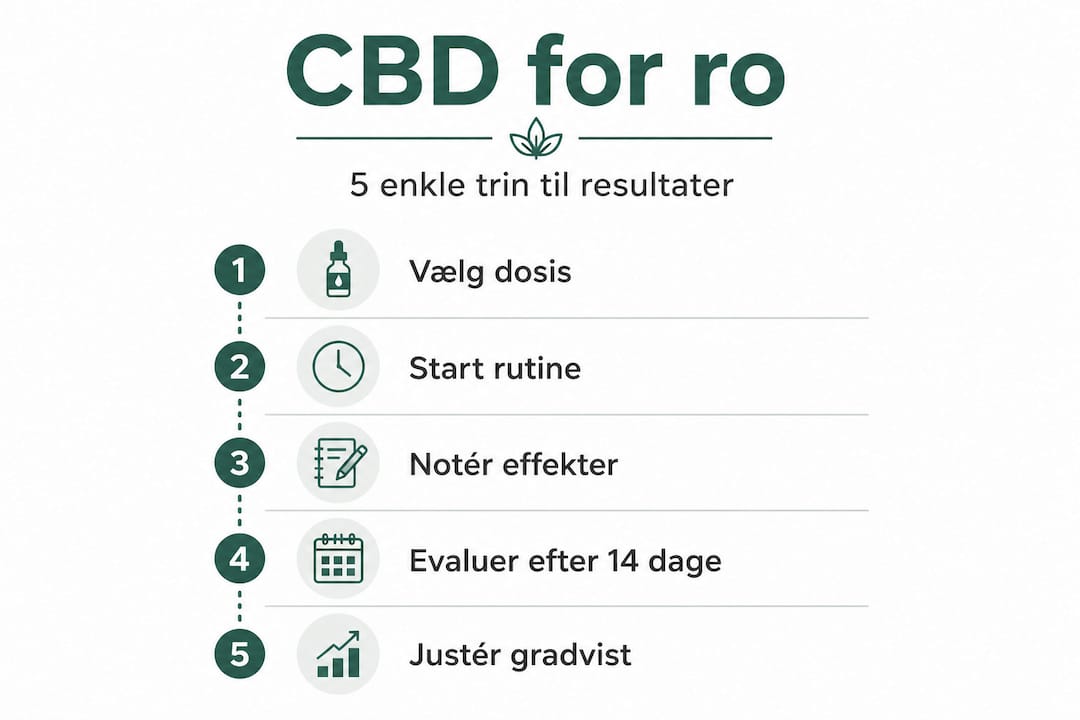 Grafisk guide: Sådan bruger du CBD – trin for trin