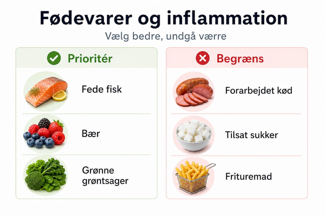 Infografik: Sådan påvirker forskellige fødevarer kroppens inflammation – hvilke dæmper, og hvilke forværrer?