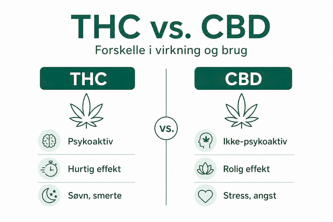 Grafisk oversigt viser forskelle og ligheder mellem THC og CBD