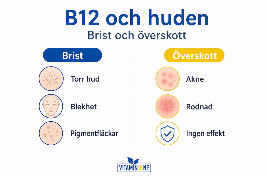 B12 och huden – så påverkas din hud vid brist och överskott (infografik)