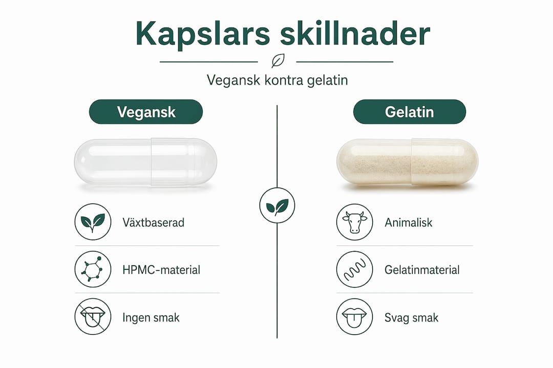 En tydlig infografik visar skillnaderna mellan veganska kapslar och kapslar med gelatin.