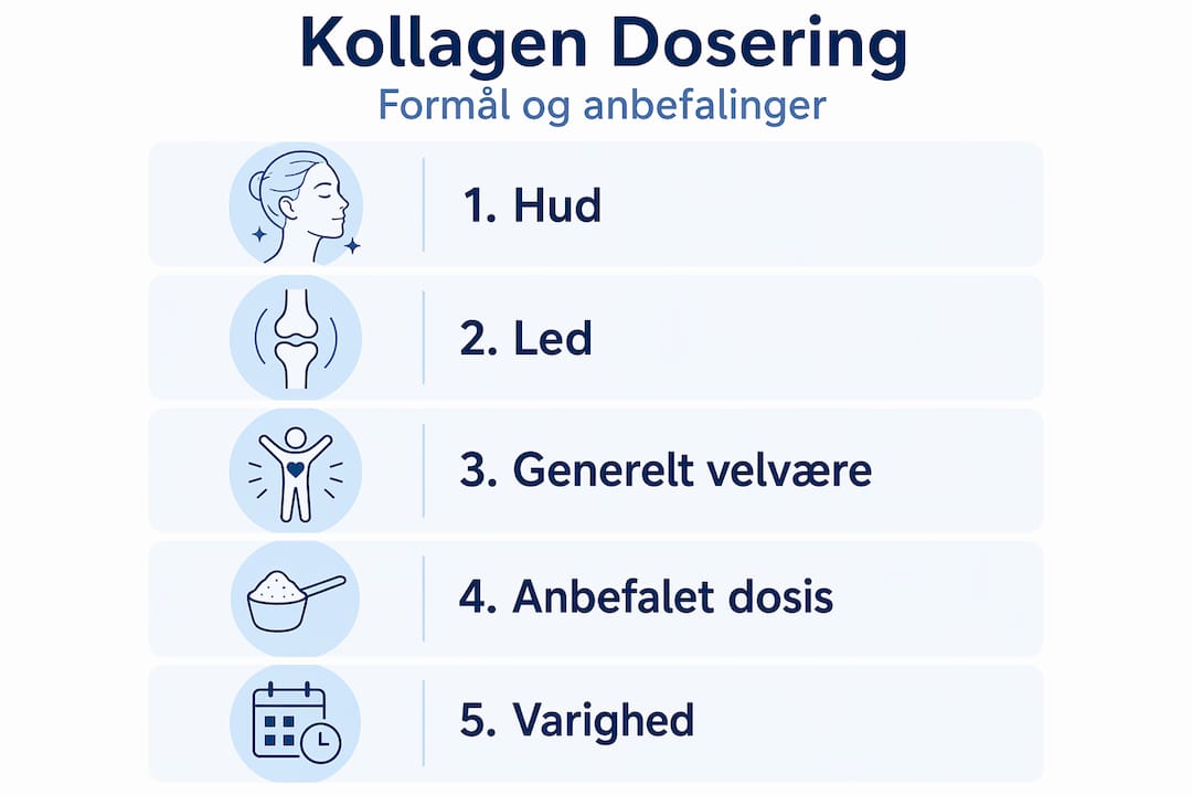 Få et hurtigt overblik over kollagen og anbefalet dosering med denne letforståelige infografik
