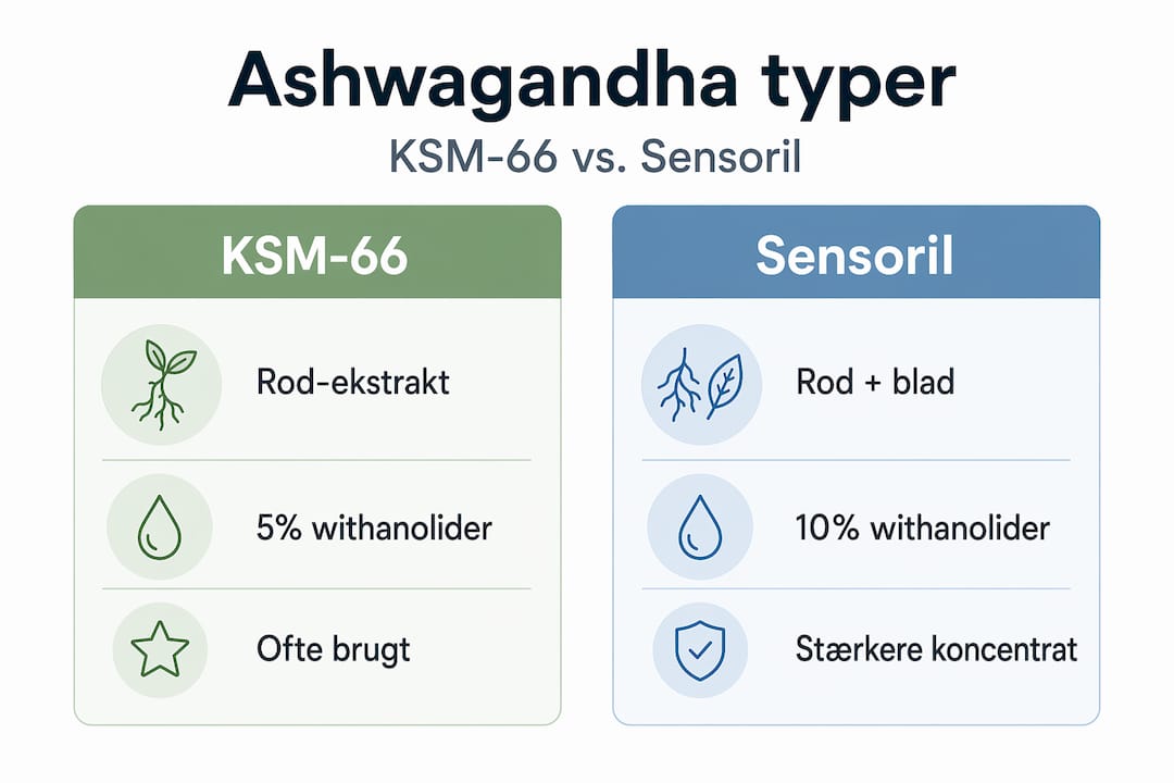 Oversigt: Sådan adskiller KSM-66 og Sensoril ashwagandha sig fra hinanden