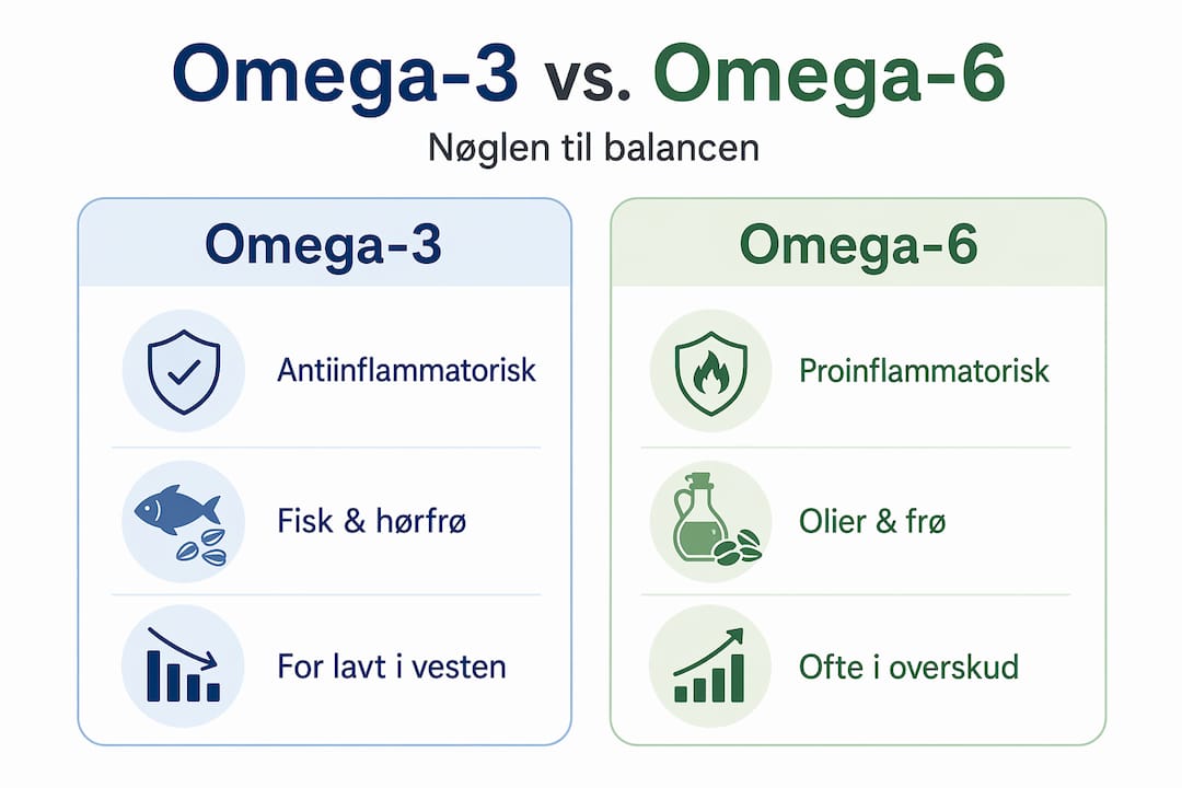 Se vores infografik, hvor vi sætter omega-3 og omega-6 fedtsyrer op mod hinanden og viser forskellene.