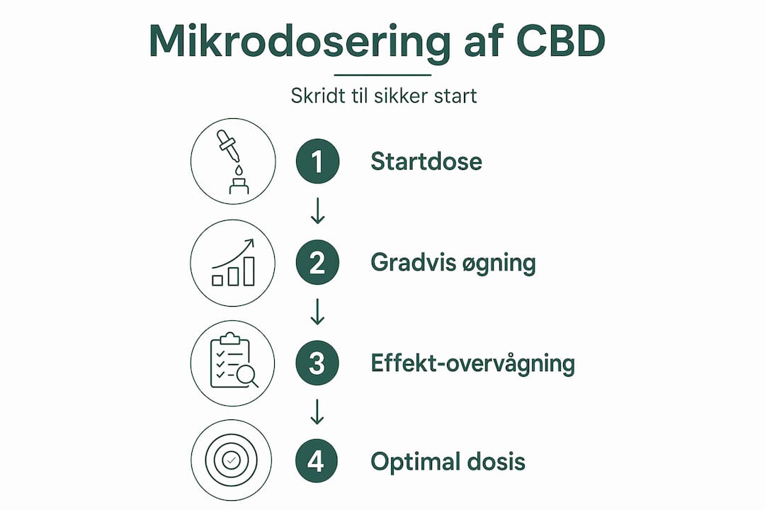 Grafisk oversigt: Sådan kommer du i gang med mikrodosering – trin for trin