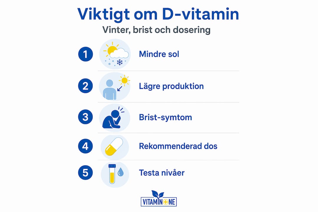 Infografik: Så får du i dig tillräckligt med D-vitamin under vinterhalvåret – steg för steg och rätt dosering