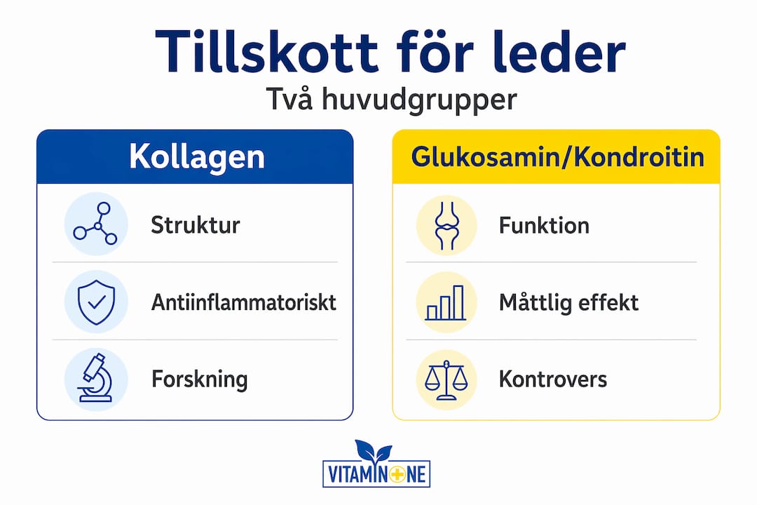 Infografik: Så skiljer sig kollagen, glukosamin och kondroitin åt