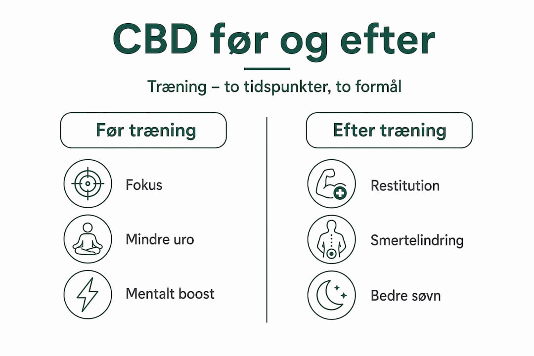 CBD – sådan kan det bruges før og efter din træning (infografik)