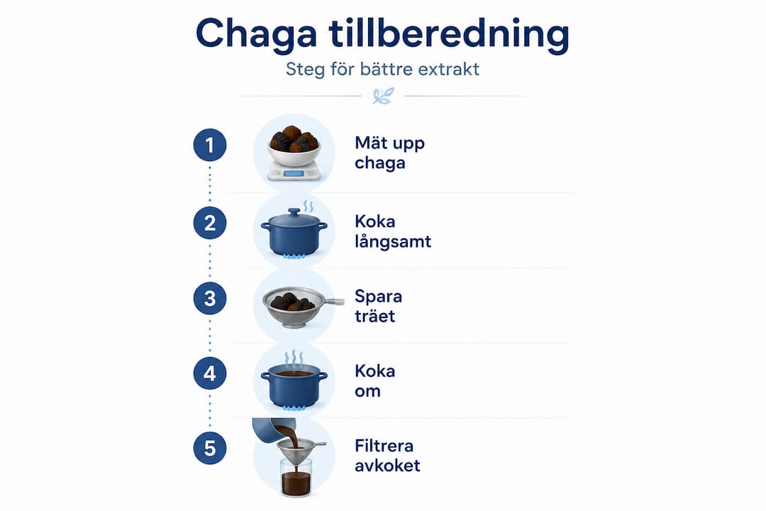 Steg-för-steg-guide: Så här tillreder du chaga