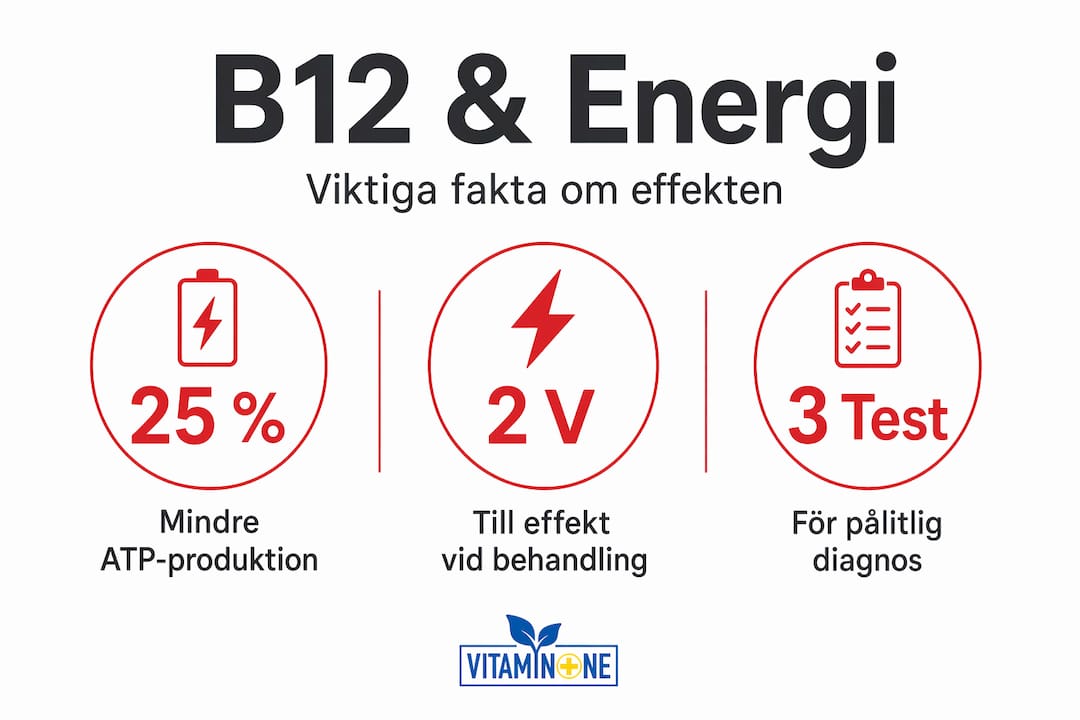 Fakta och statistik om B12 och energi – en överskådlig infografik