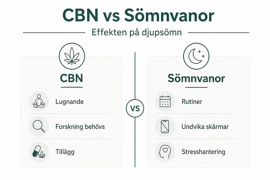 Infografik: CBN och hur det påverkar våra sömnvanor – en jämförelse