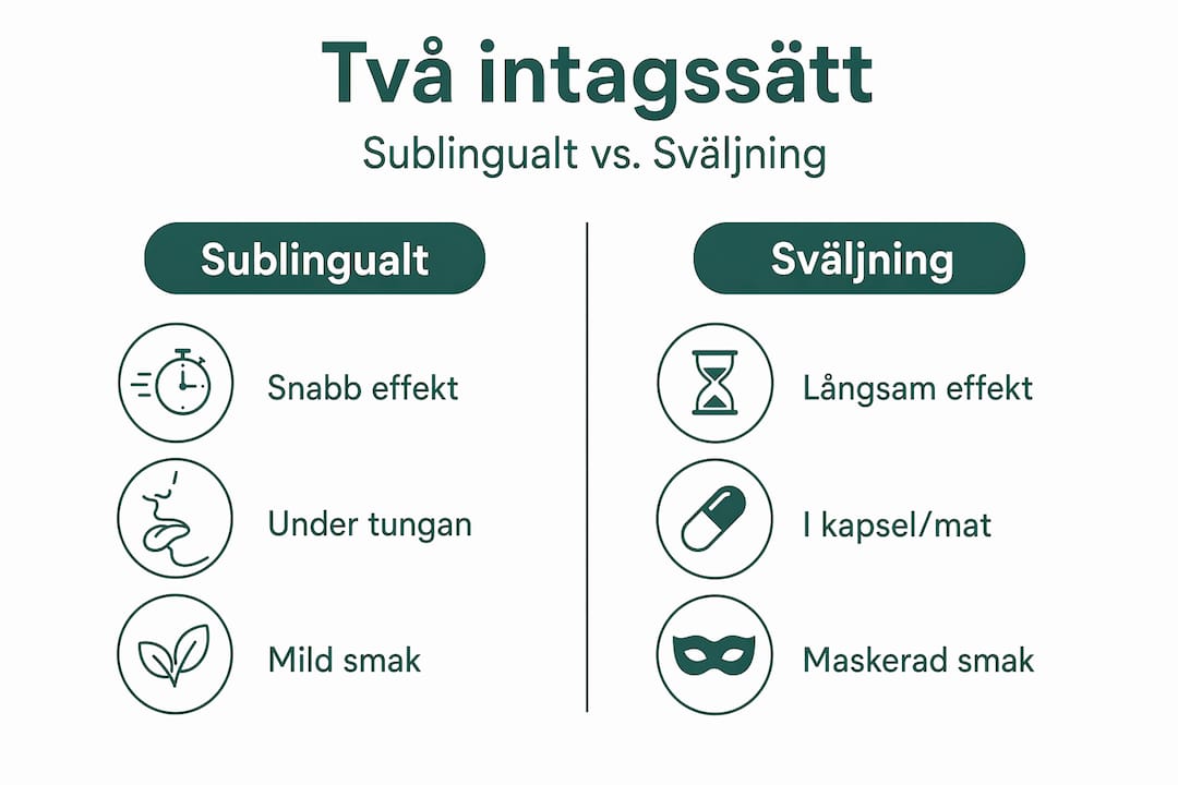 Grafisk översikt: Skillnader mellan att ta cannabisolja under tungan och att svälja den