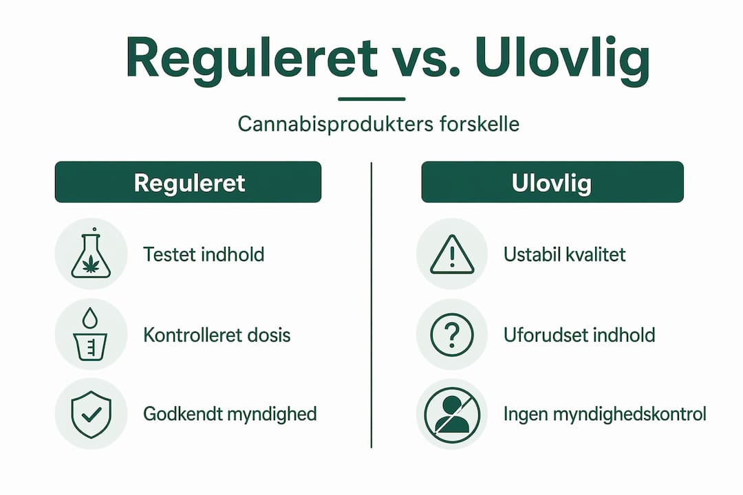 Infografik: Sådan varierer reglerne for cannabisprodukter