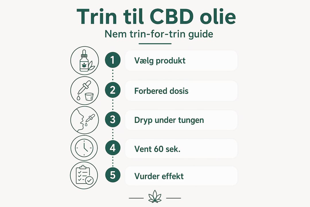 Trin-for-trin guide til brug af CBD-olie – se det hele i en informativ infografik